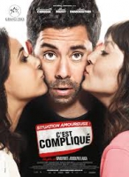 Situation amoureuse : C'est compliqué (2013)