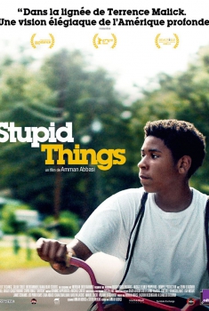 Stupid Things (2017)